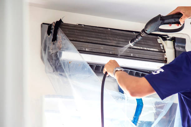 Best Air Duct Mold Removal  in Towaoc, CO