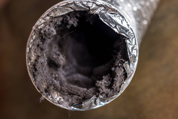 Best Air Duct Cleaning Near Me  in Towaoc, CO