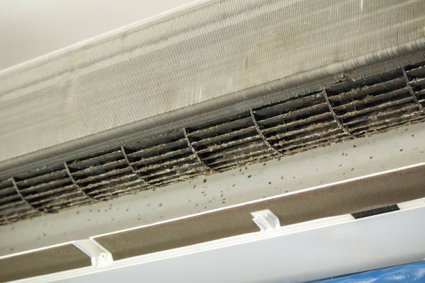 Best Best Air Duct Cleaning Company  in Towaoc, CO